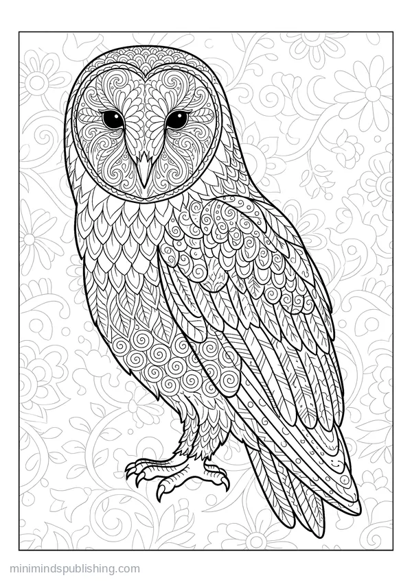 Barn Owl with Each Feather Separately Patterned — free printable coloring page