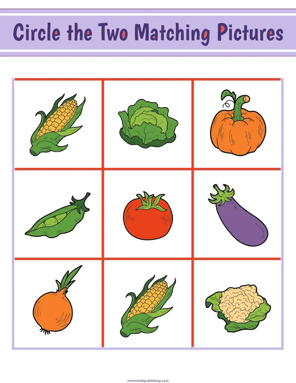Circle the Matching Pictures 4 — free printable circle the matching pictures activity sheet for ages 3-7