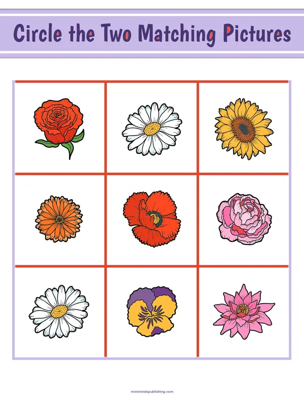 Circle the Matching Pictures 11 — free printable circle the matching pictures activity sheet for ages 3-7