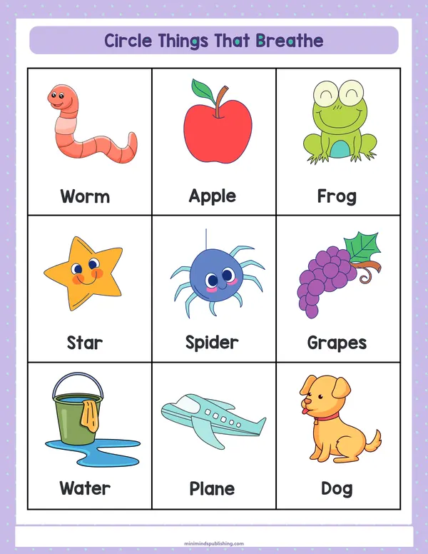 Circle the Animals 12 — free printable circle the animals activity sheet for ages 3-7