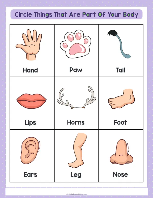 Circle the Animals 25 — free printable circle the animals activity sheet for ages 3-7