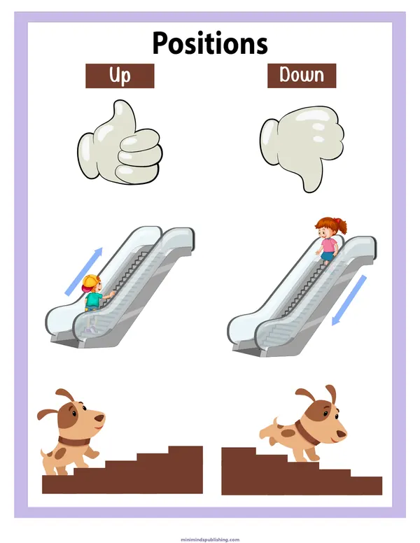 Positions 5 — free printable positions activity sheet for ages 3-6