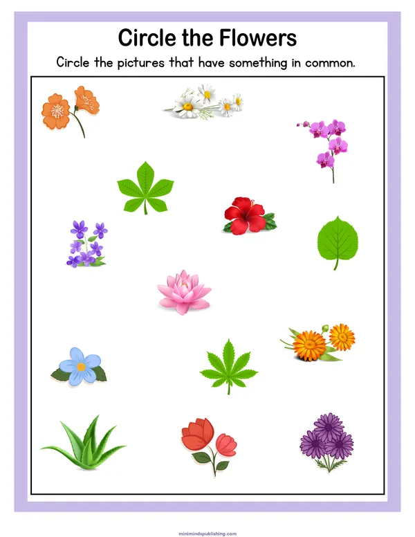 Puzzles and Mazes 24 — free printable puzzles and mazes activity sheet for ages 3-6
