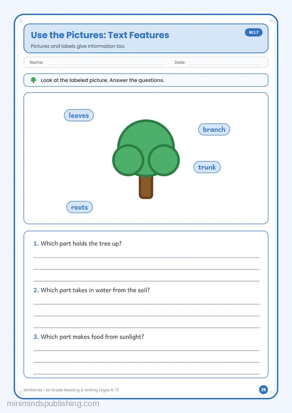 Use the Pictures: Text Features — free printable 1st Grade reading & writing worksheet for ages 6-7 (Common Core RI.1.7)