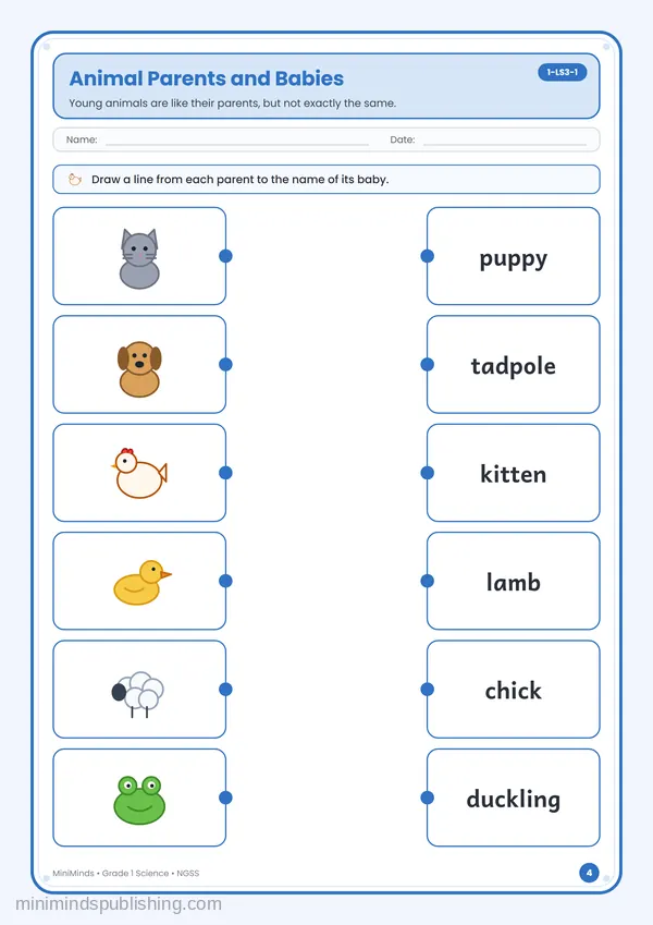 Animal Parents and Babies — free printable 1st Grade worksheet