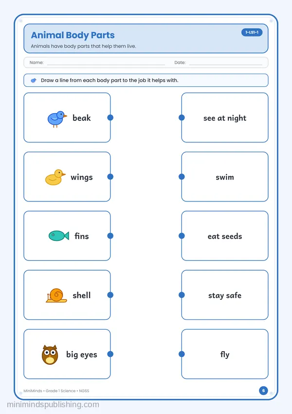 Animal Body Parts — free printable 1st Grade worksheet