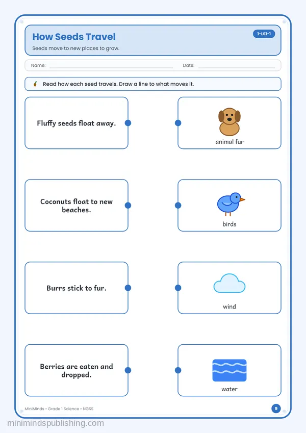 How Seeds Travel — free printable 1st Grade worksheet