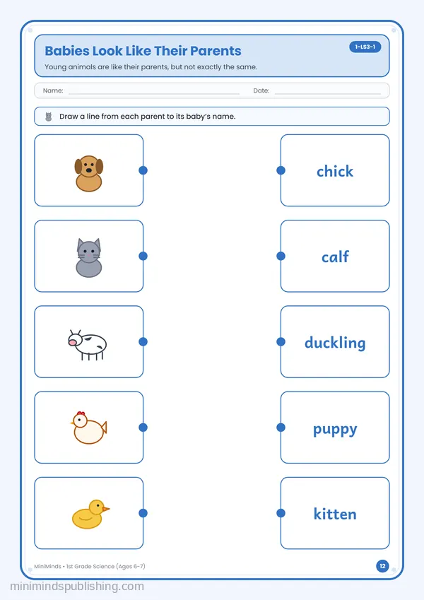Babies Look Like Their Parents — free printable 1st Grade worksheet