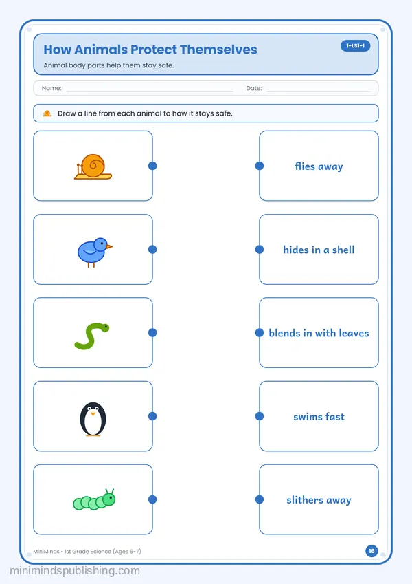How Animals Protect Themselves — free printable 1st Grade worksheet
