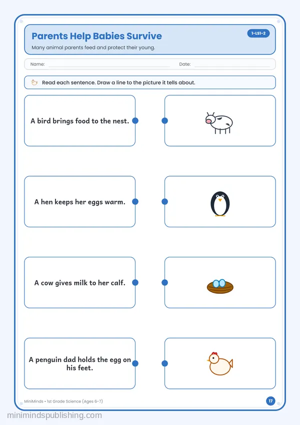 Parents Help Babies Survive — free printable 1st Grade worksheet