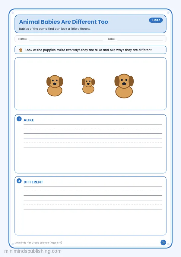 Animal Babies Are Different Too — free printable 1st Grade worksheet