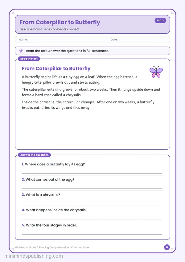 From Caterpillar to Butterfly — free printable 2nd Grade worksheet