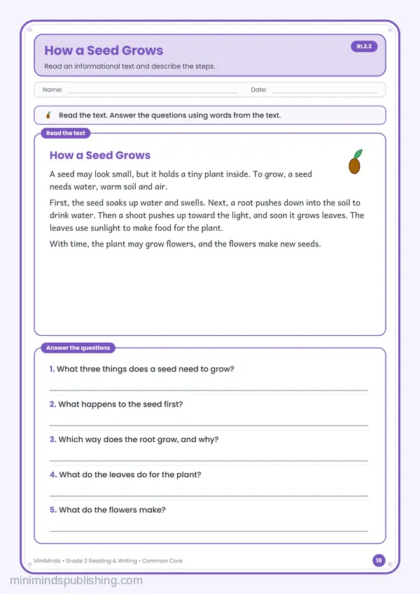 How a Seed Grows — free printable 2nd Grade reading & writing worksheet for ages 7-8 (Common Core RI.2.3)