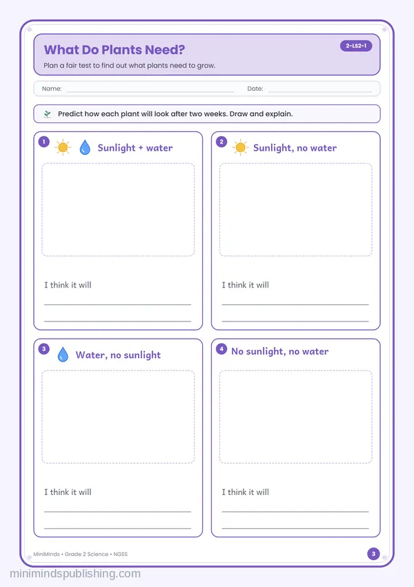 What Do Plants Need? — free printable 2nd Grade worksheet