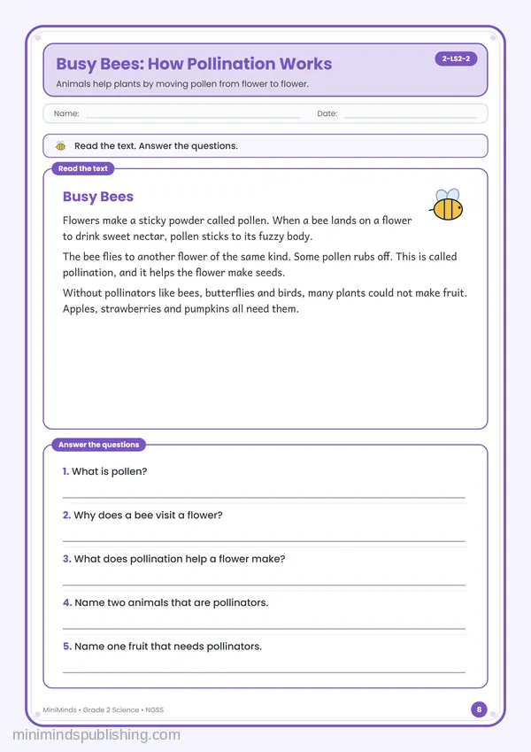 Busy Bees: How Pollination Works — free printable 2nd Grade worksheet