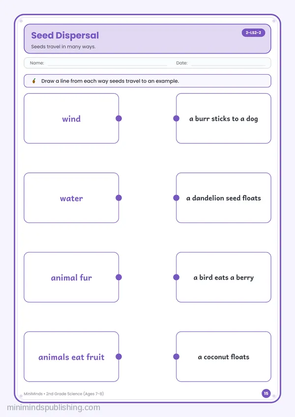 Seed Dispersal — free printable 2nd Grade worksheet