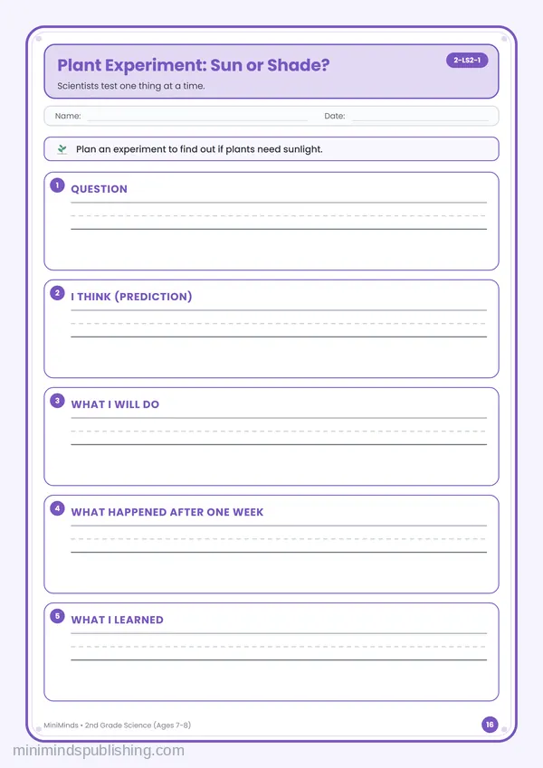 Plant Experiment: Sun or Shade? — free printable 2nd Grade worksheet