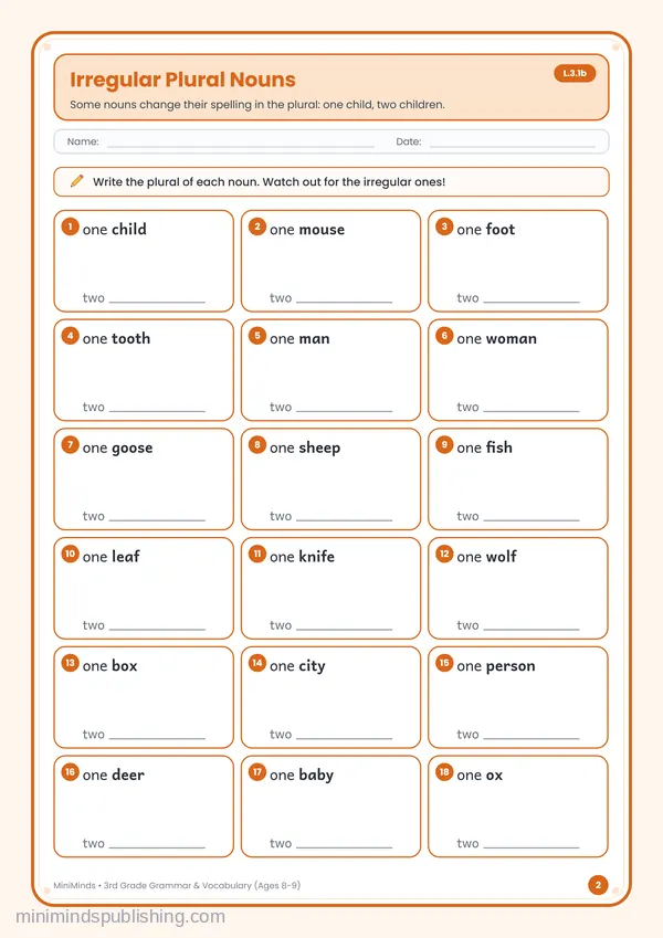 Irregular Plural Nouns — free printable 3rd Grade worksheet