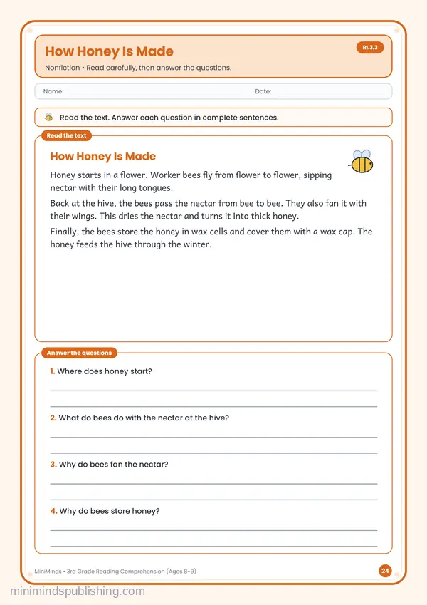 How Honey Is Made — free printable 3rd Grade worksheet