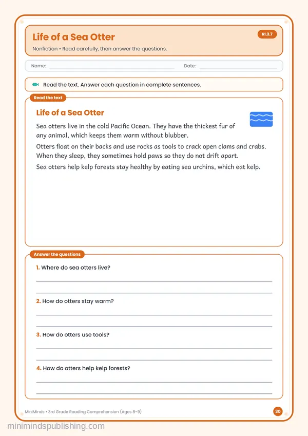 Life of a Sea Otter — free printable 3rd Grade worksheet