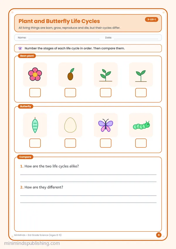 Plant and Butterfly Life Cycles — free printable 3rd Grade worksheet