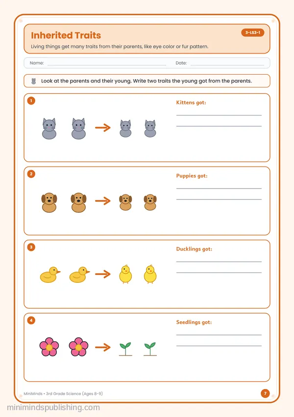 Inherited Traits — free printable 3rd Grade worksheet