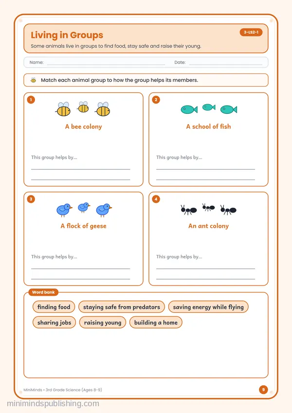 Living in Groups — free printable 3rd Grade worksheet