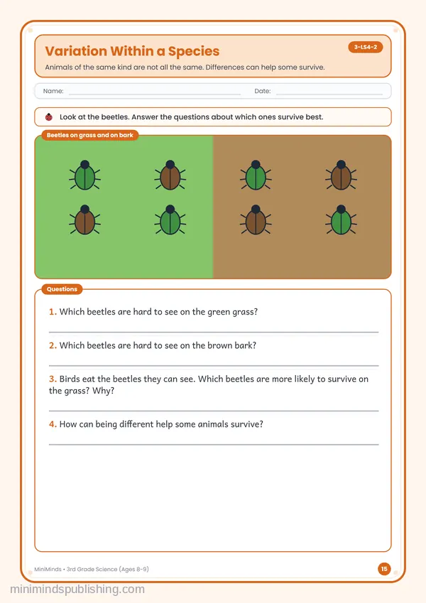 Variation Within a Species — free printable 3rd Grade worksheet