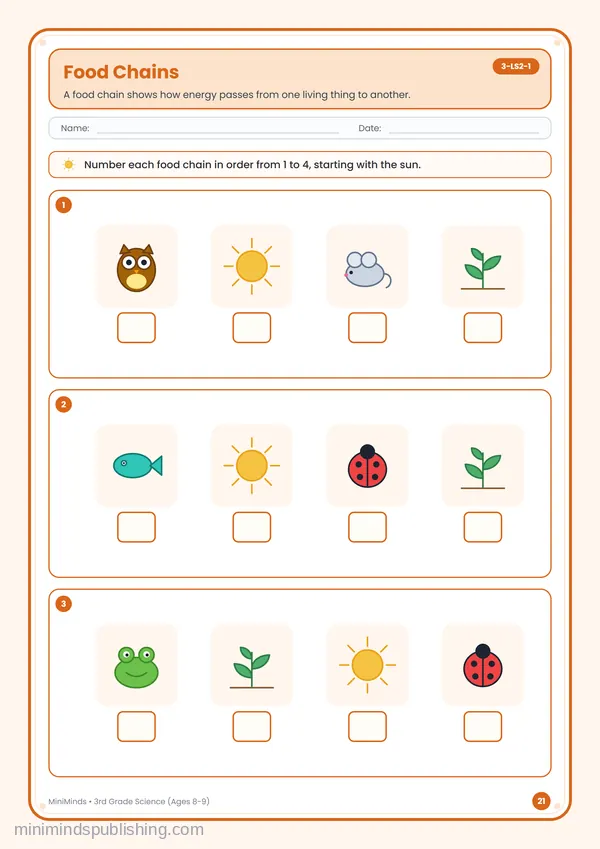 Food Chains — free printable 3rd Grade worksheet