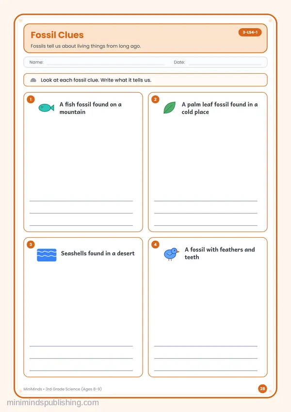 Fossil Clues — free printable 3rd Grade worksheet