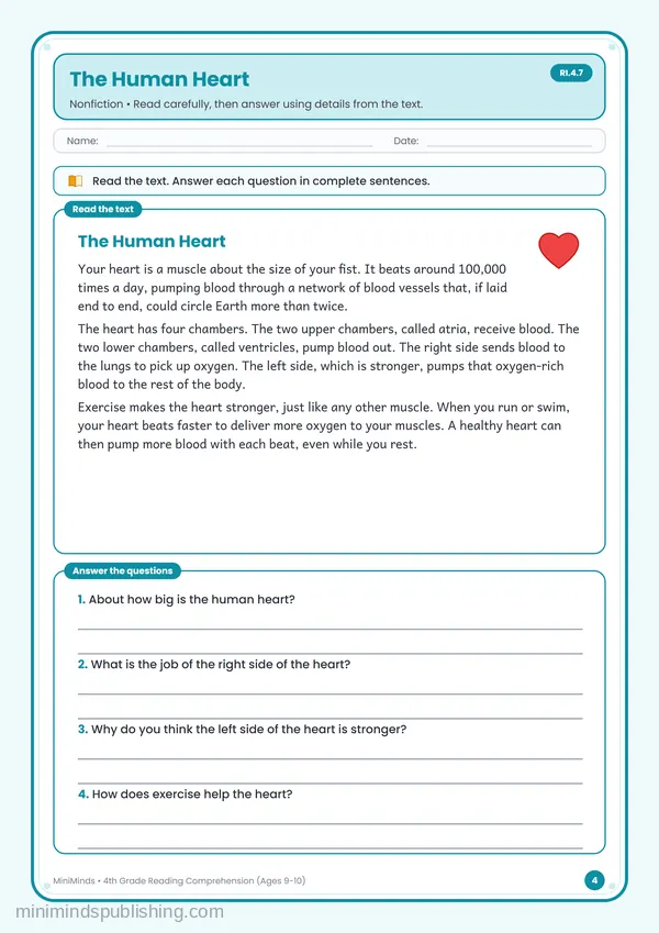 The Human Heart — free printable 4th Grade worksheet