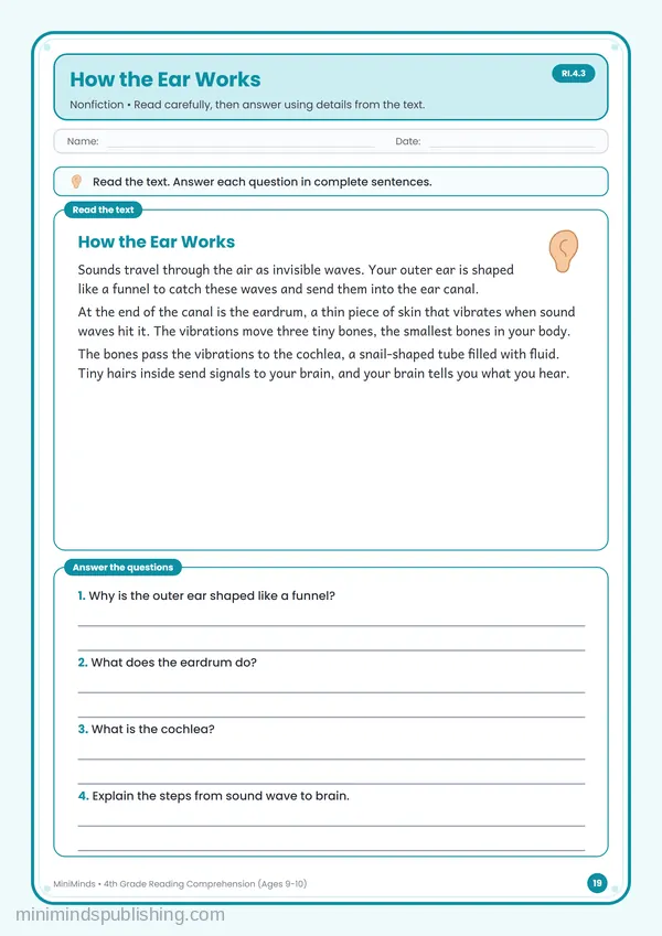 How the Ear Works — free printable 4th Grade worksheet