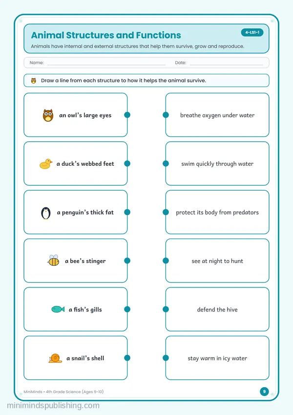 Animal Structures and Functions — free printable 4th Grade worksheet