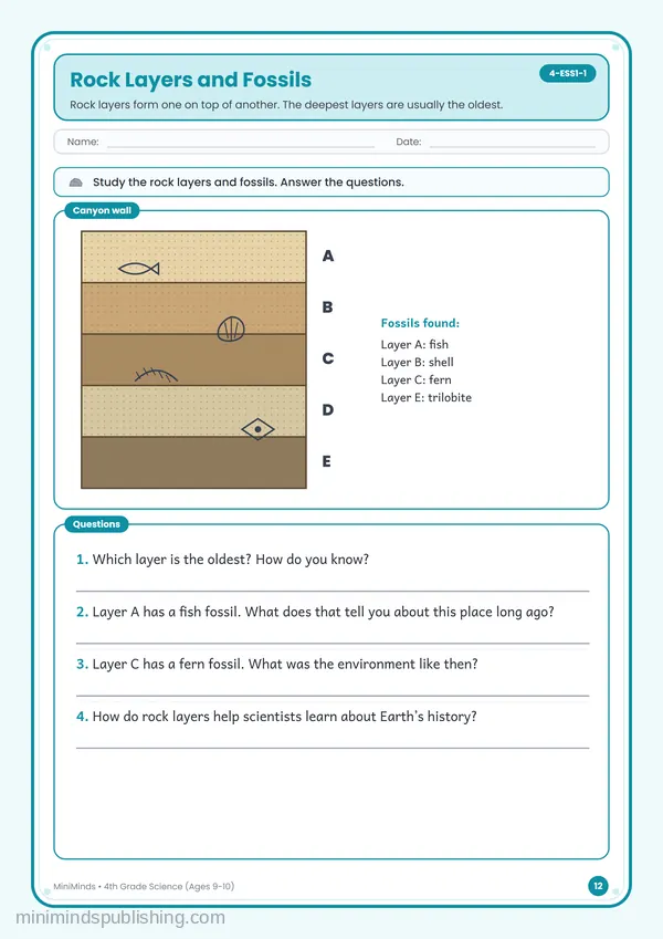 Rock Layers and Fossils — free printable 4th Grade worksheet