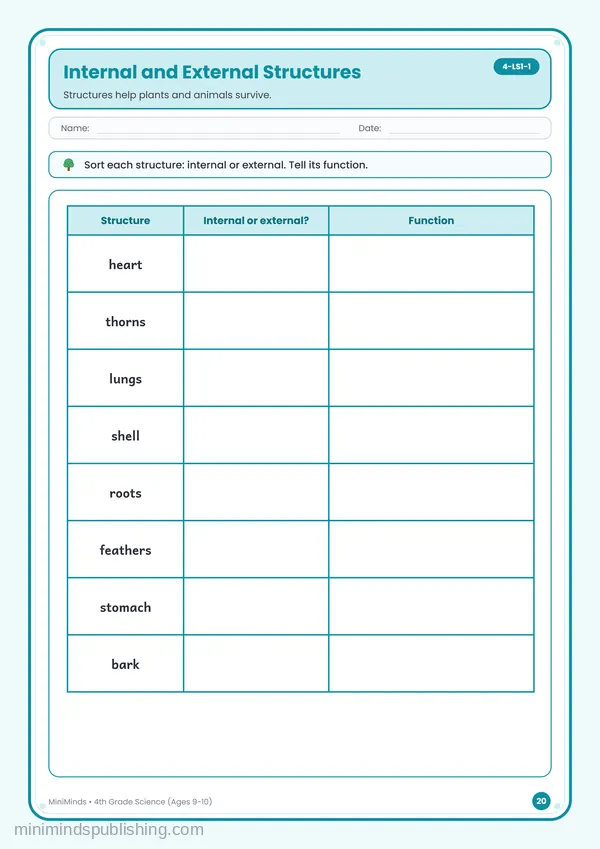 Internal and External Structures — free printable 4th Grade worksheet