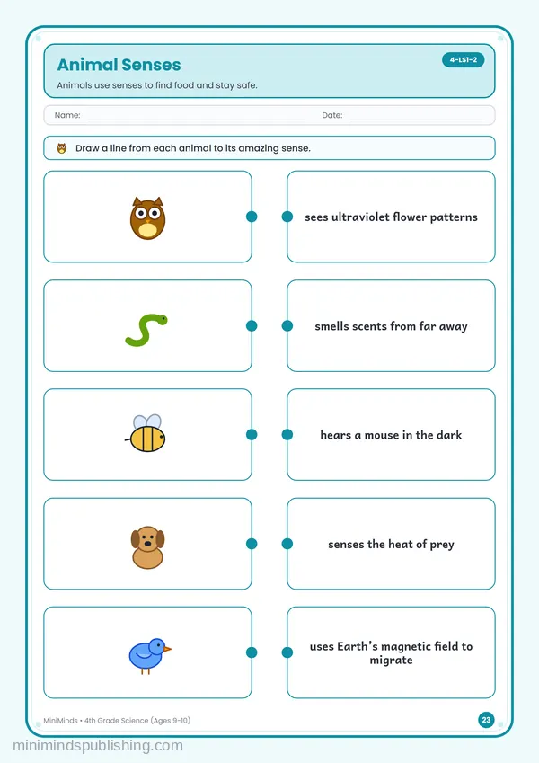 Animal Senses — free printable 4th Grade worksheet
