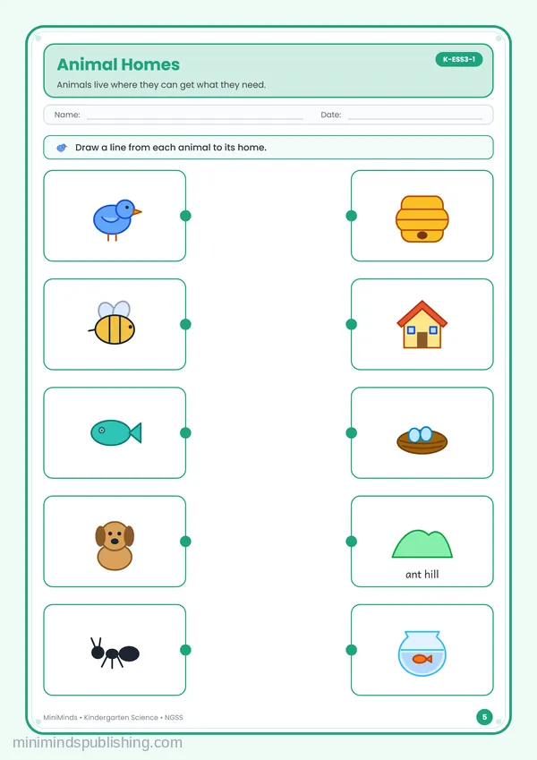 Animal Homes — free printable Kindergarten worksheet