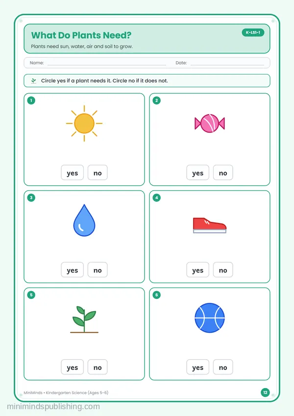 What Do Plants Need? — free printable Kindergarten worksheet