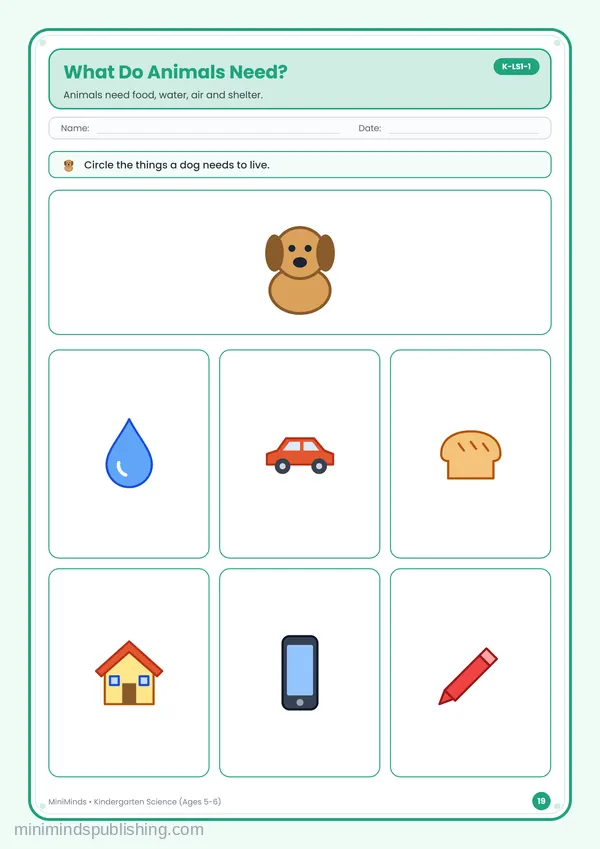 What Do Animals Need? — free printable Kindergarten worksheet