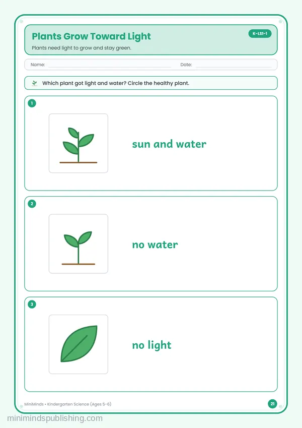 Plants Grow Toward Light — free printable Kindergarten worksheet