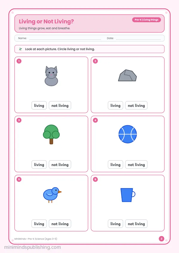 Living or Not Living? — free printable Pre-K worksheet