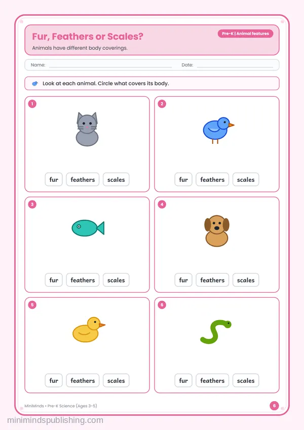 Fur, Feathers or Scales? — free printable Pre-K worksheet