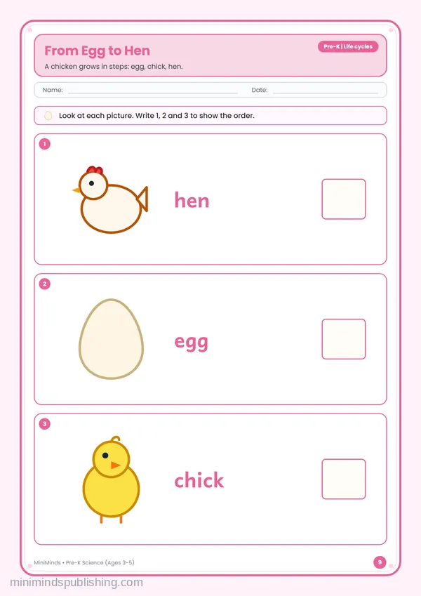 From Egg to Hen — free printable Pre-K worksheet