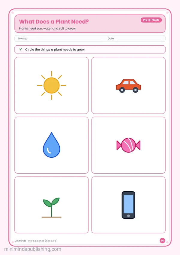 What Does a Plant Need? — free printable Pre-K worksheet