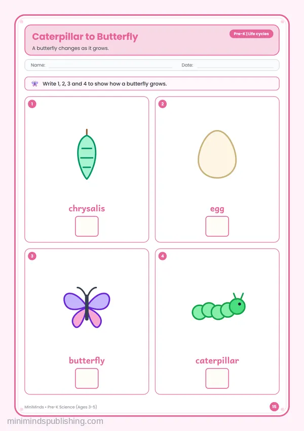 Caterpillar to Butterfly — free printable Pre-K worksheet