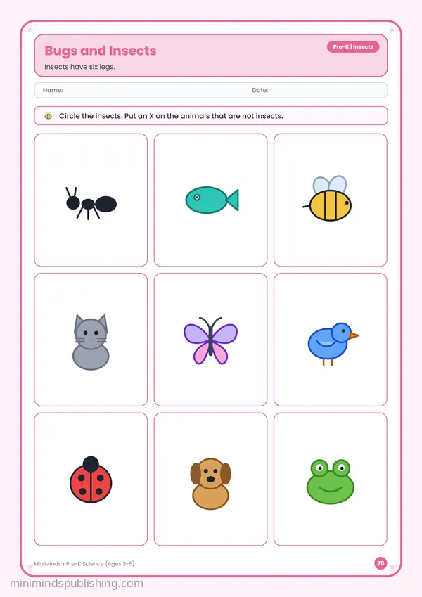 Bugs and Insects — free printable Pre-K worksheet