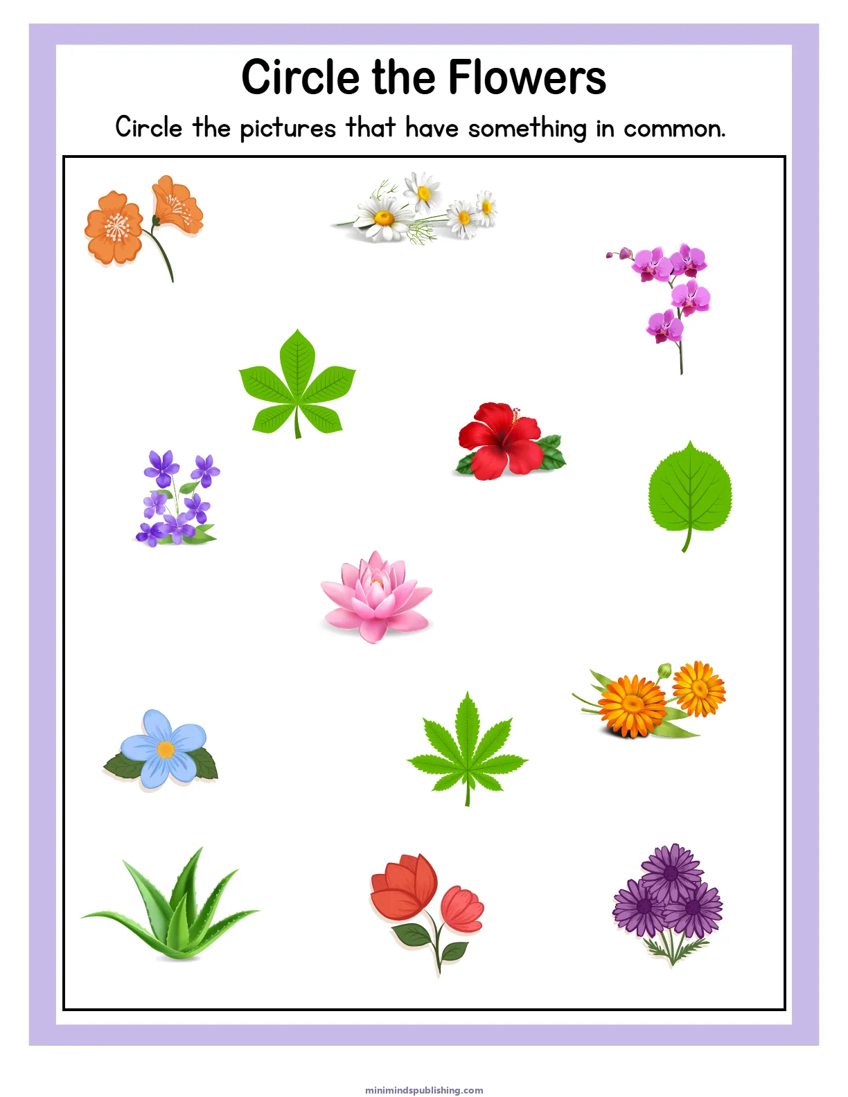 Puzzles and Mazes 24 — free printable puzzles and mazes activity sheet for ages 3-6