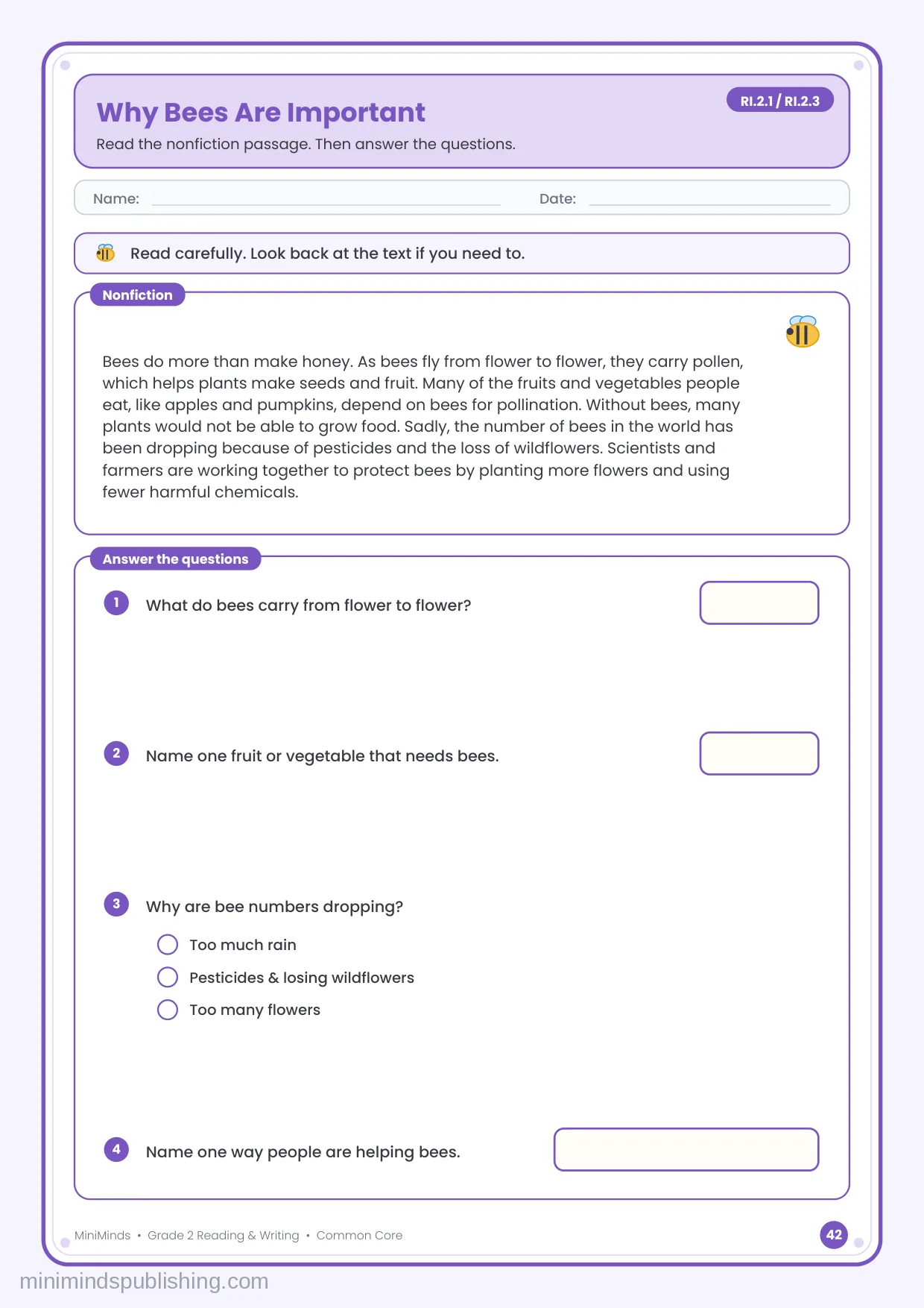 Why Bees Are Important — free printable 2nd Grade reading & writing worksheet for ages 7-8