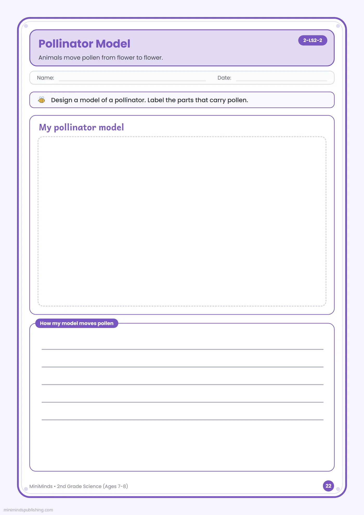 Pollinator Model — free printable 2nd Grade science worksheet for ages 7-8