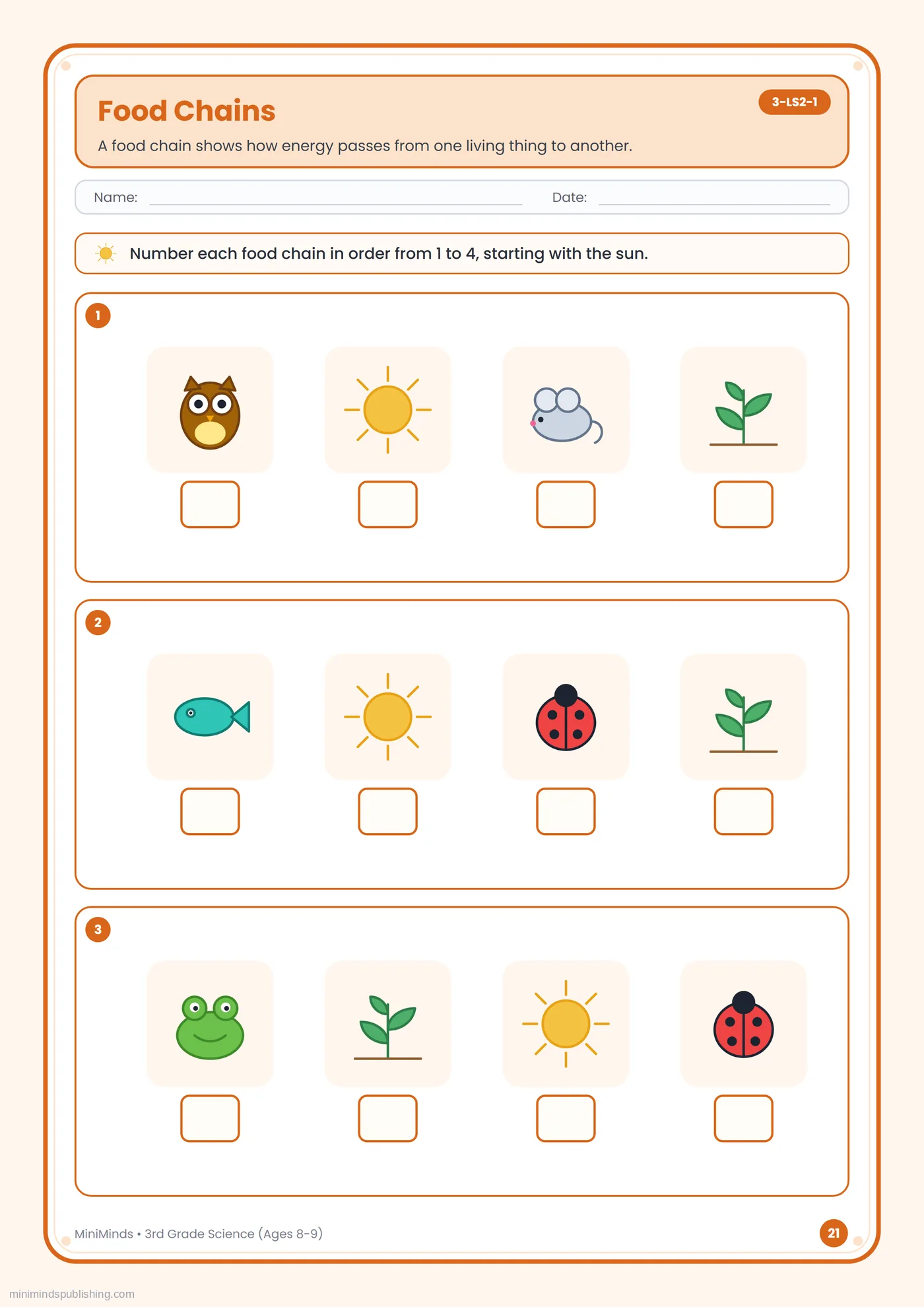 Food Chains — free printable 3rd Grade science worksheet for ages 8-9